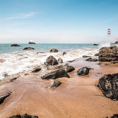 诺亚幻想破解版下载